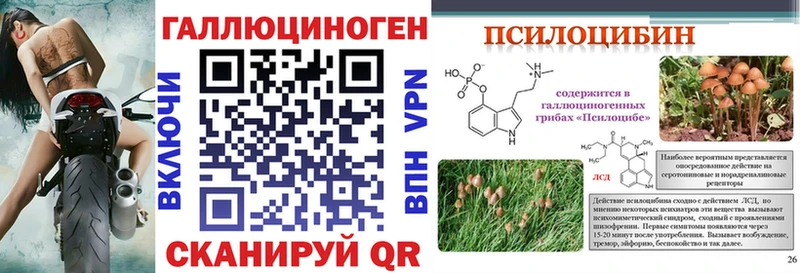 Псилоцибиновые грибы мицелий  как найти закладки  Белебей 